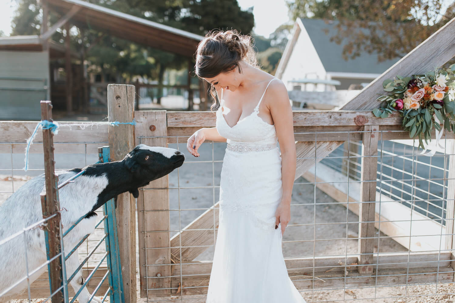 Bridal and wedding styled shoot at Ardenwood Farms in Fremont California. Vintage details, flower ideas, natural light photography, animal photography, farm photoshoot.