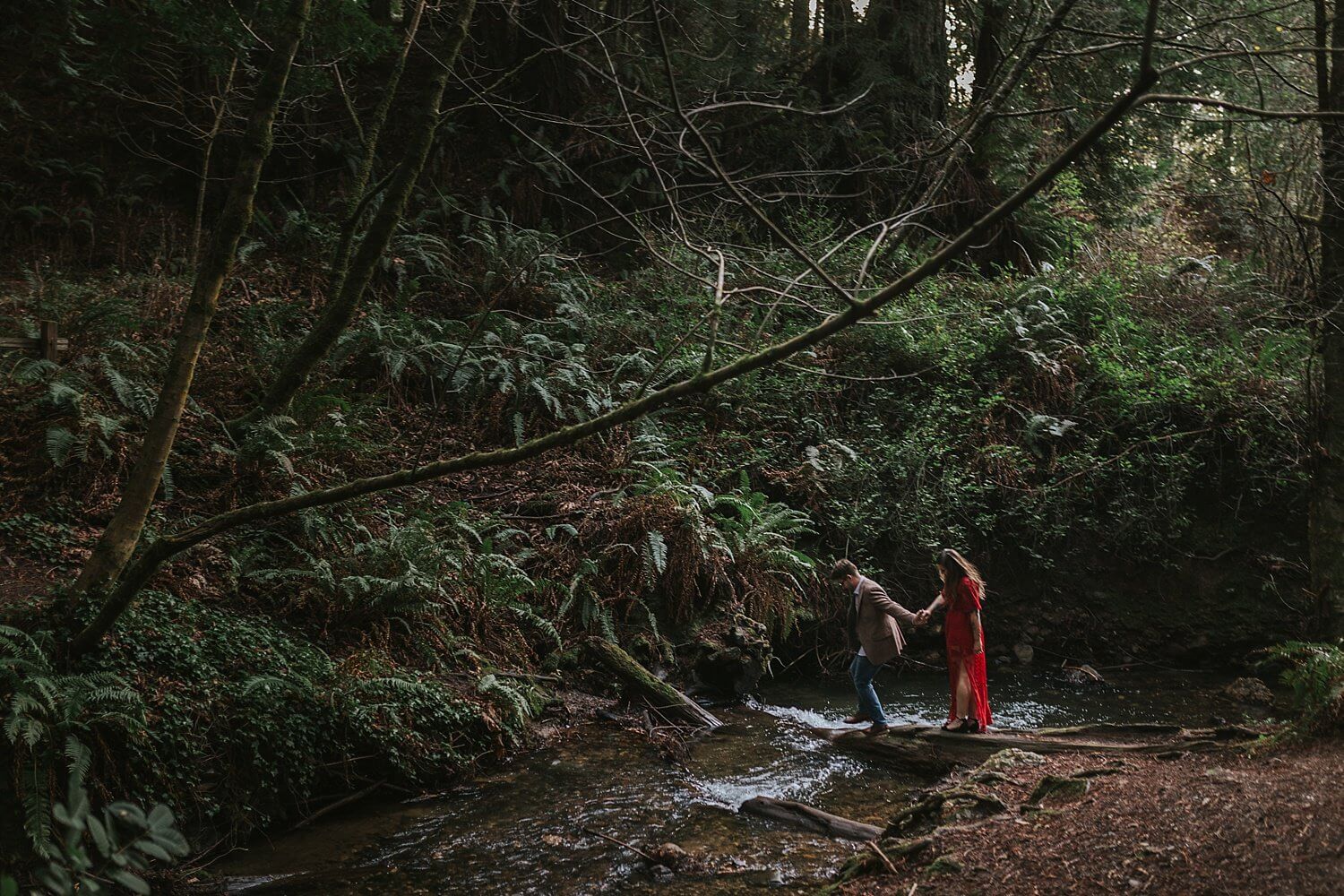Magical woodsy engagement shoot at Purisma Creek Trail in Half Moon Bay California near san francisco bay area