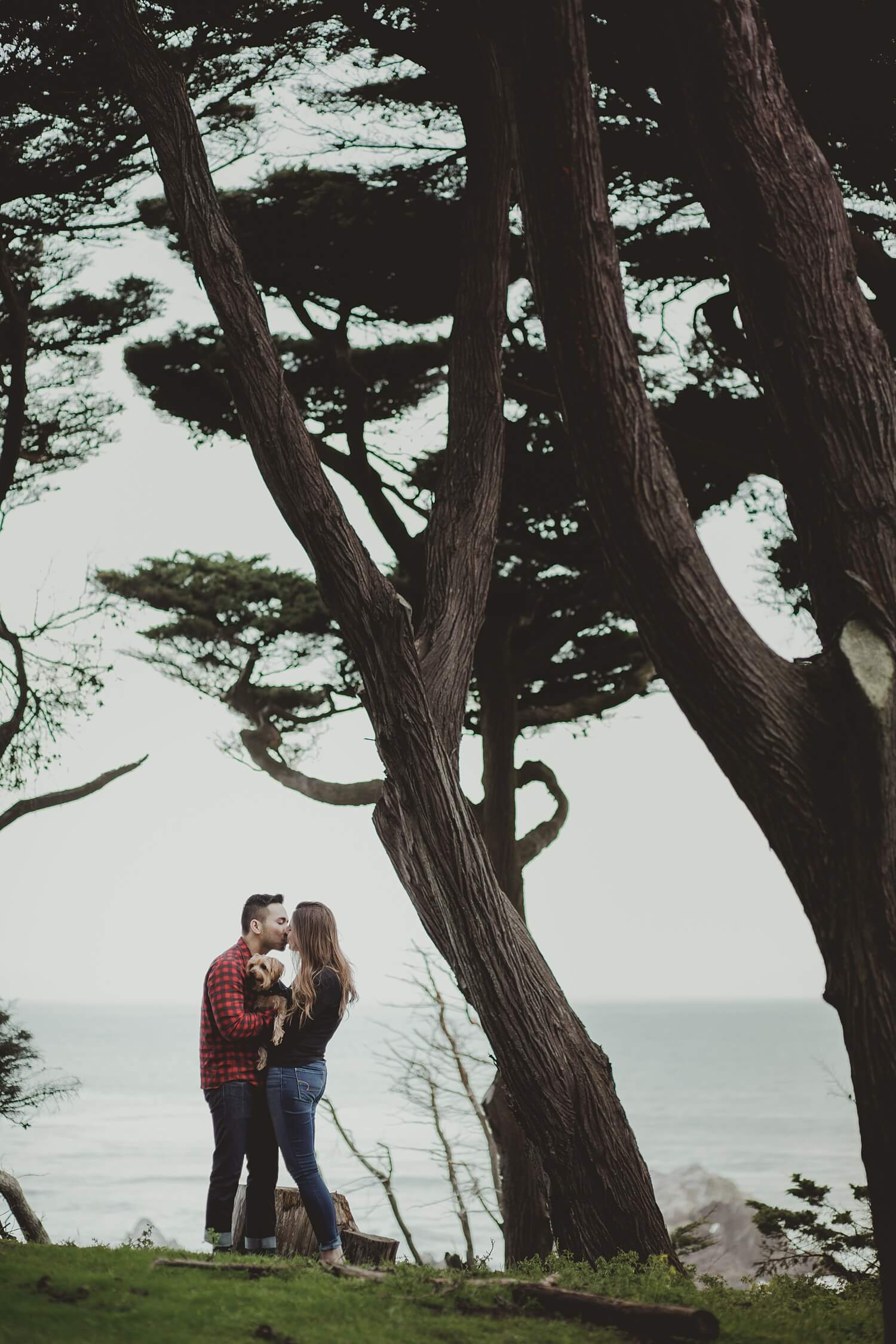 san francisco lands end sutro baths presidio baker beach rocks trees forest natural candid lifestyle engagement session engagement photos with dog