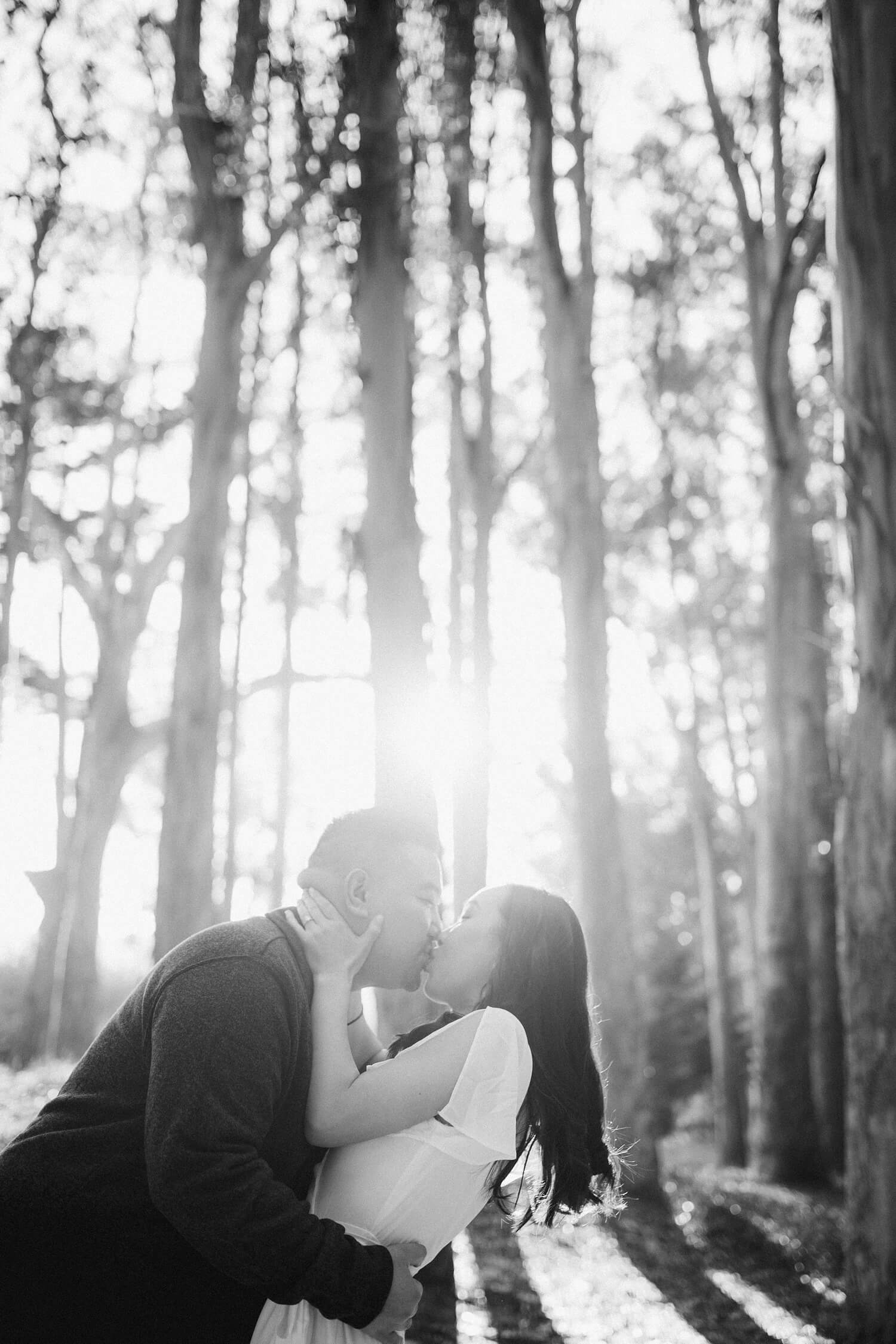 san francisco bay area presidio engagement photoshoot wedding photographers fall wood line crissy field
