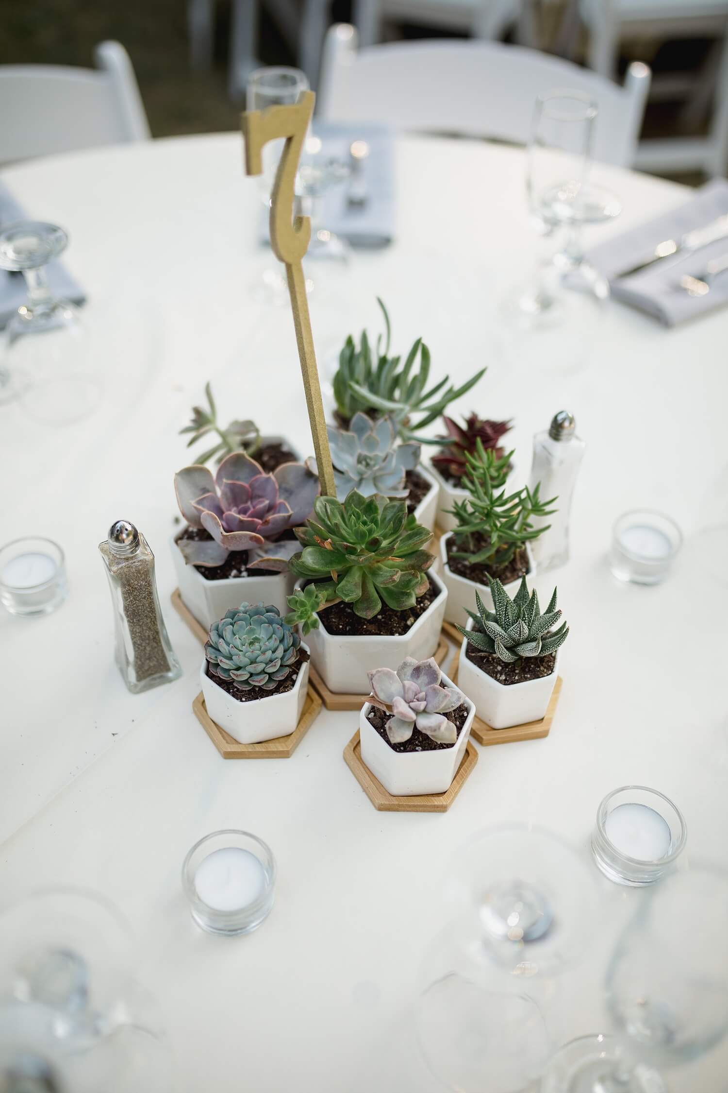 succulent wedding centerpiece