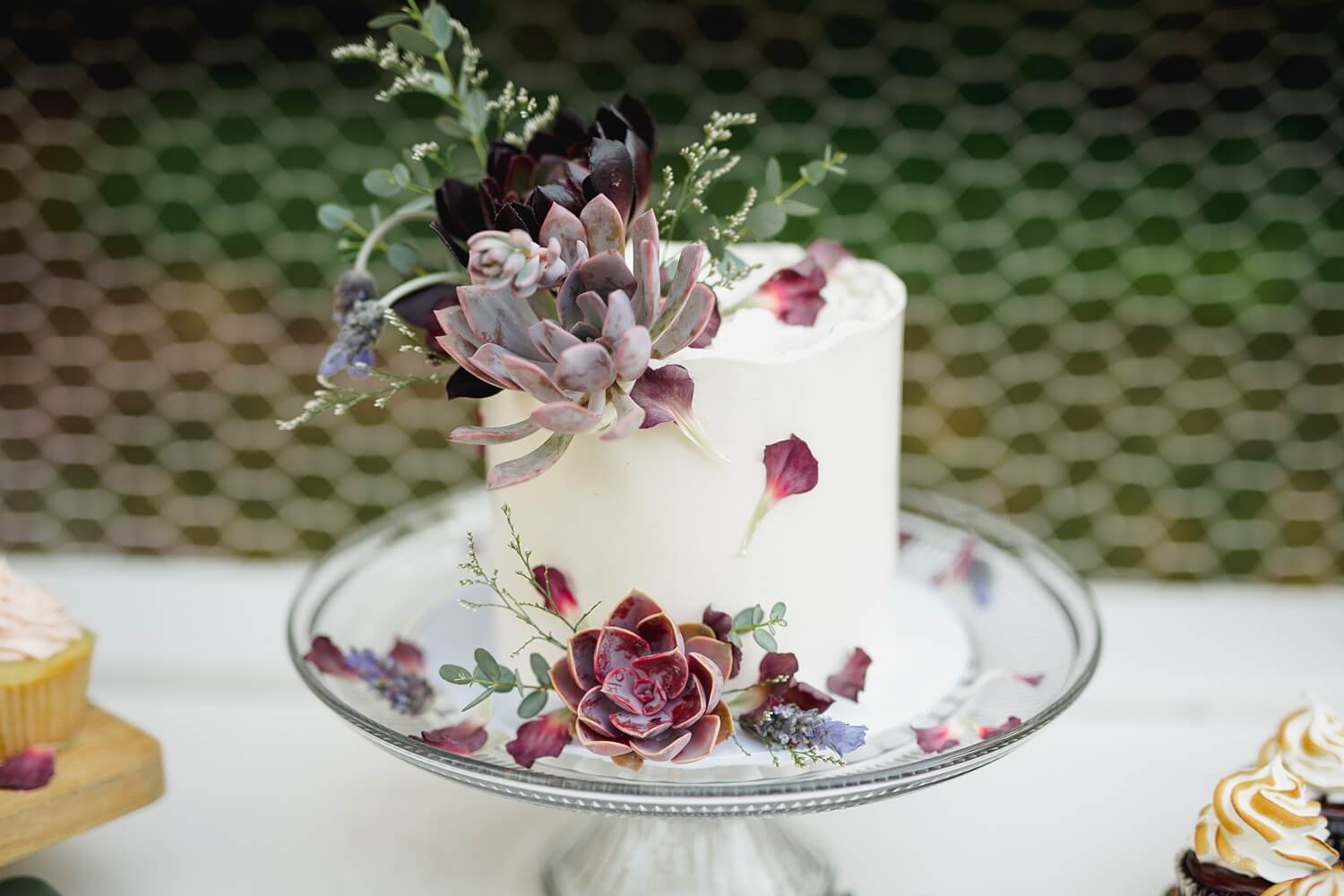 wedding cake succulent