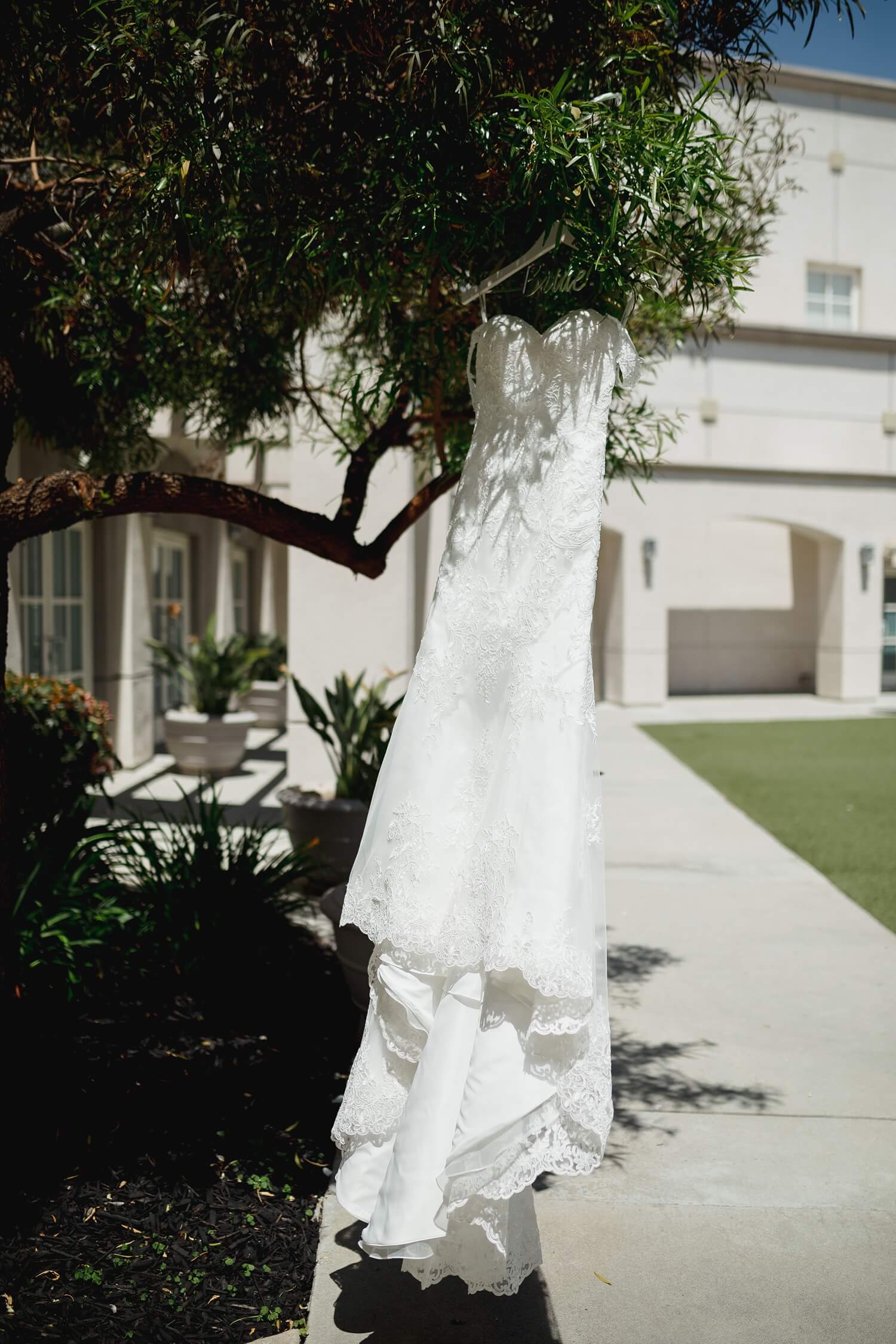 wedding dress hangs from tree